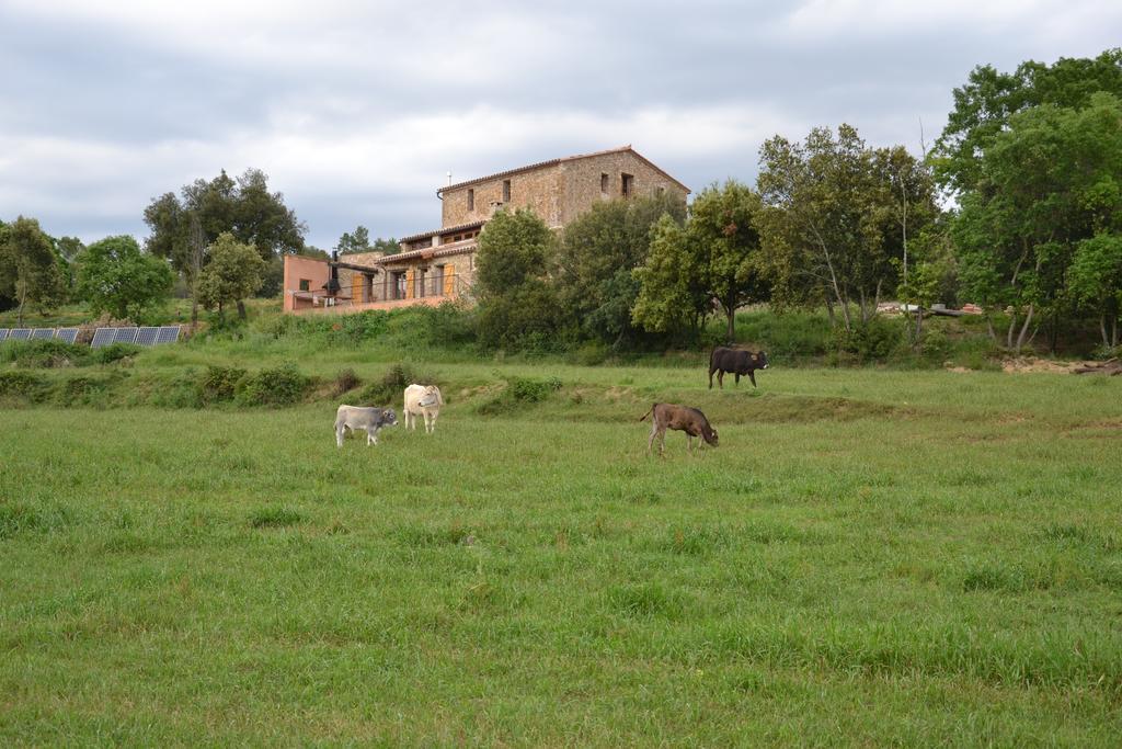 Masoveria De Llado Rom bilde